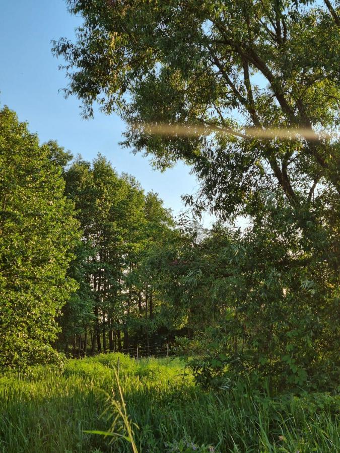 Vila Zacisze Na Roztoczu Horyniec Exteriér fotografie